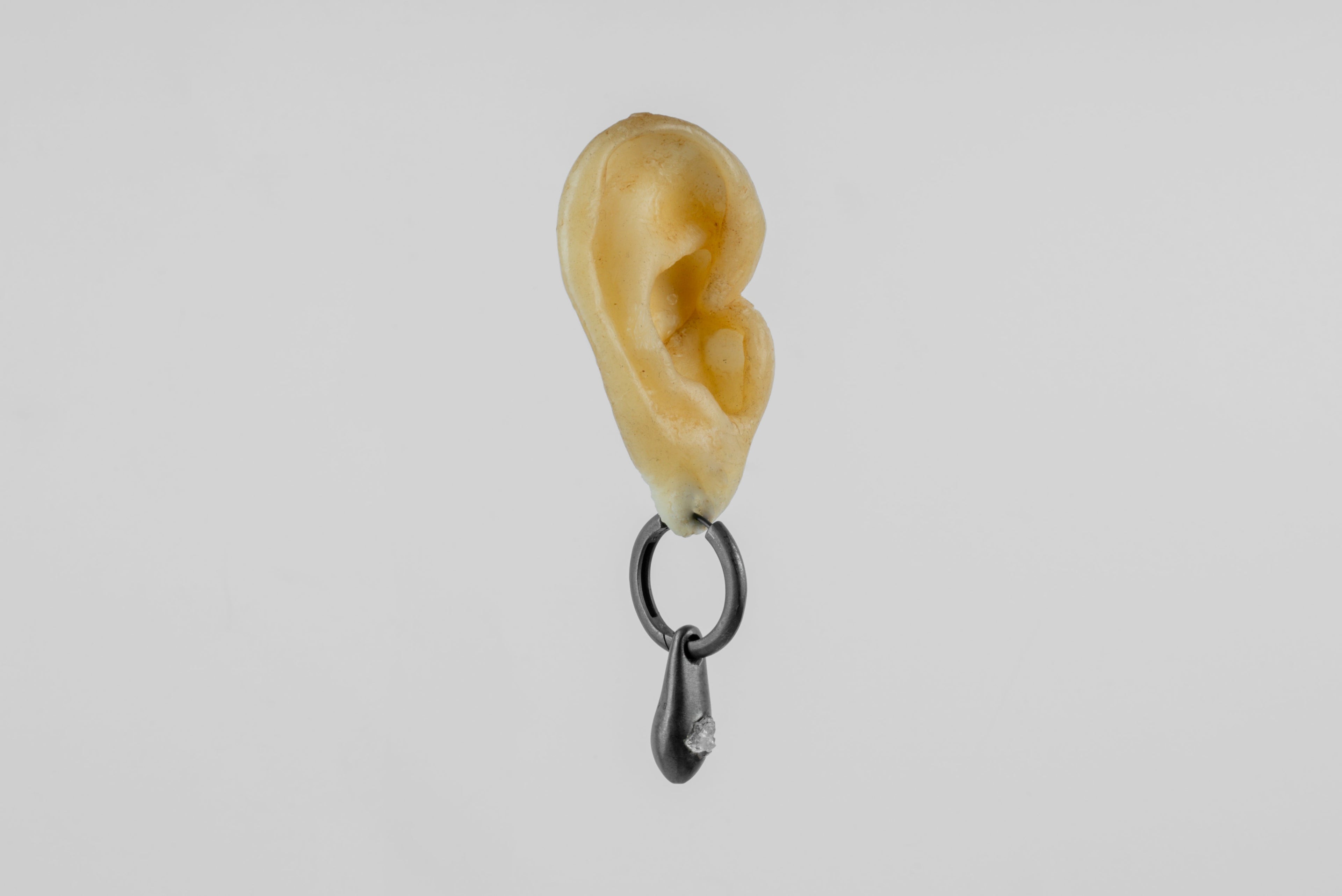 Chrysalis Earring (Zincite, R2435-75-KA+ZIN)